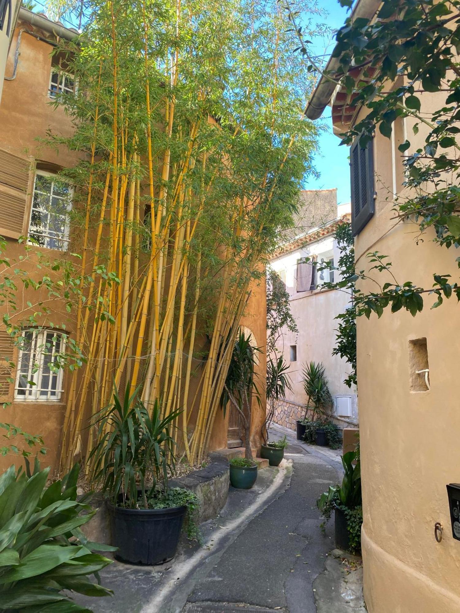 Spacieux Duplex, Vue Mer Et Belle Terrasse Ιέρ Εξωτερικό φωτογραφία